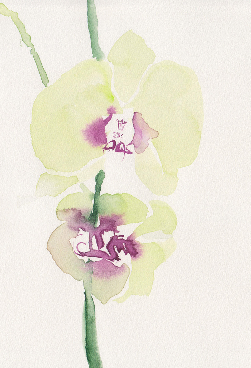 org_img_1662762666_L-3_Watercolor_CheminH.jpg