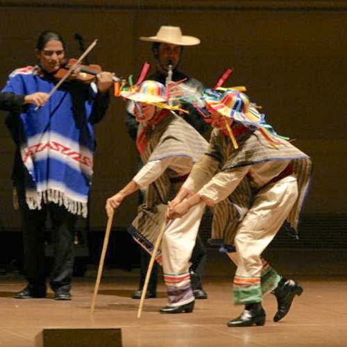 Traditional Mexican Dance Virtual Assembly