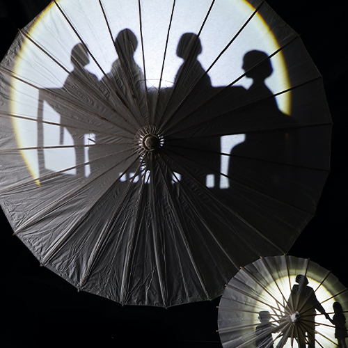 The Art of Shadow Theater: Family Stories Virtual Assembly