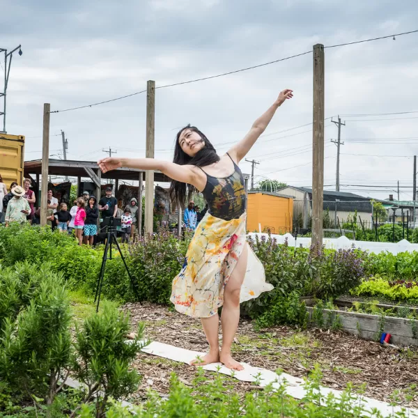 DOMINGO WORLD at Edgemere Farm
