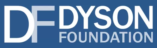 DF DYSON